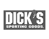 Dick's Sporting Goods
